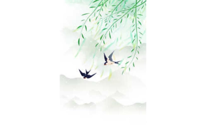 简约小清新春二十四节气春分背景