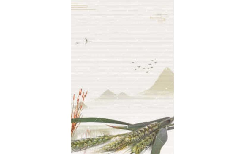 小满复古风节气简约大气背景图