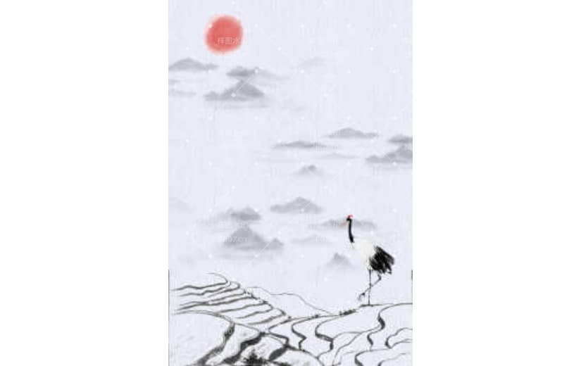 白露梯田仙鹤背景