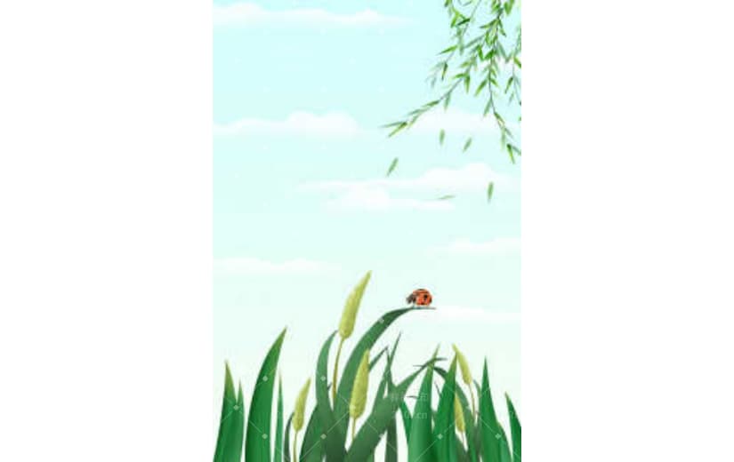 小满夏天瓢虫麦穗手绘背景