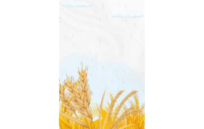 芒种节气背景合成简约大气纹理背景