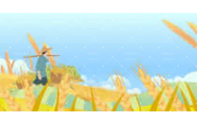 农田播种芒种节气插秧背景