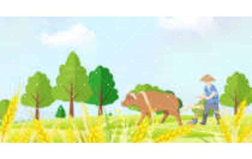 农田芒种播种庄家风景背景