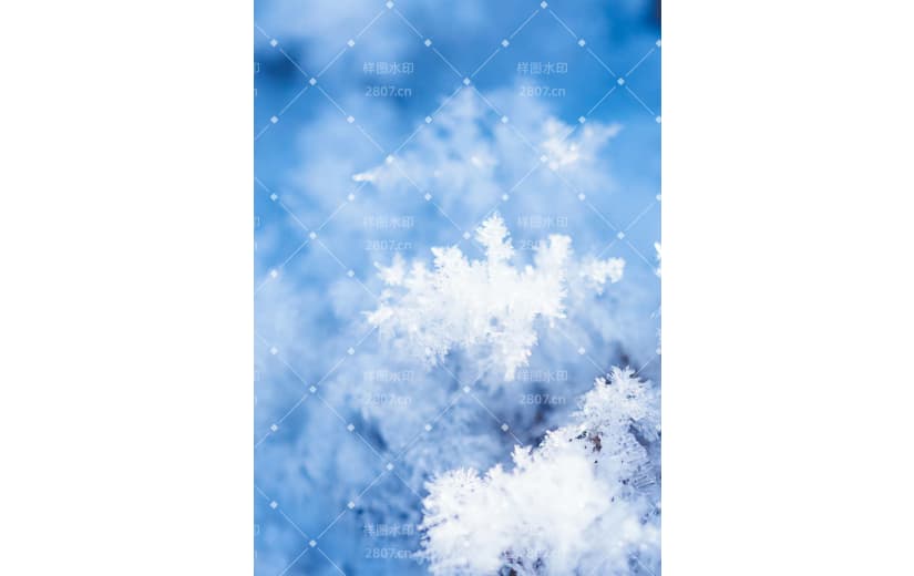 冰花纷雪思故人背景