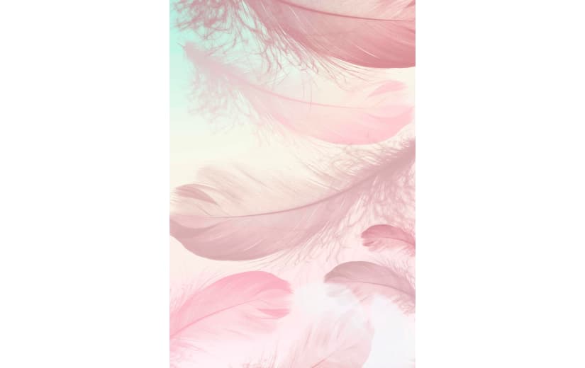 粉色浪漫羽毛纹理背景