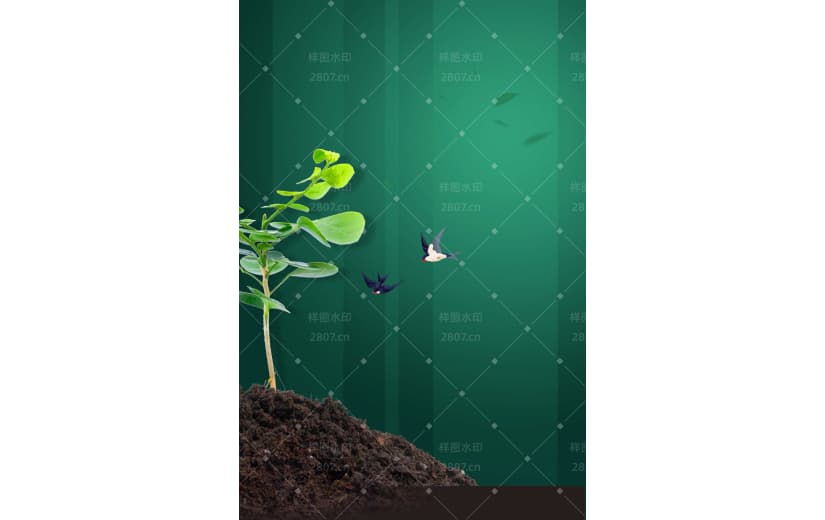 绿色保护环境种树树苗背景