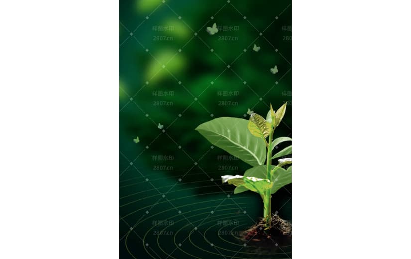 树苗植物谷雨节气宣传背景