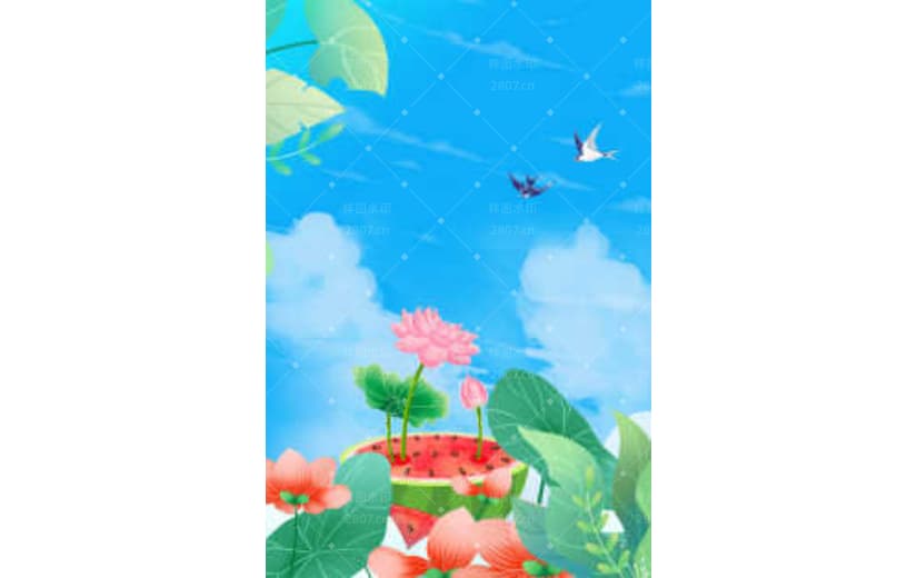 夏至节气卡通手绘西瓜荷叶背景