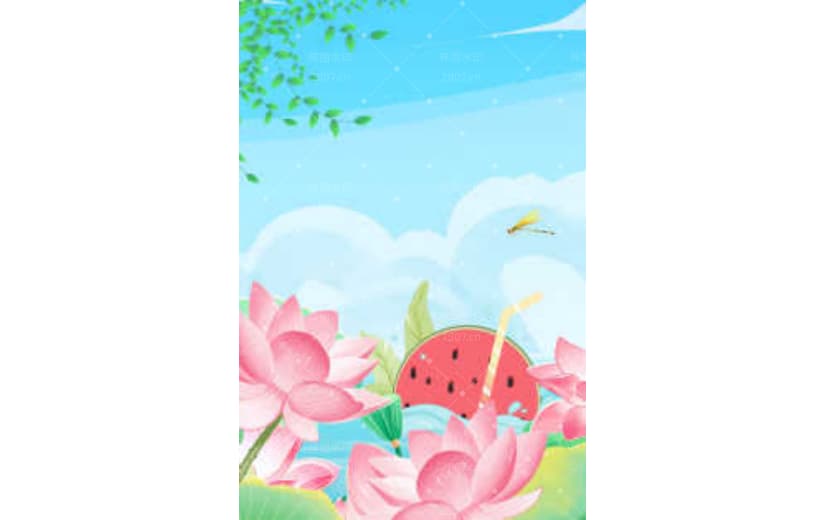 夏至荷花西瓜插画节气宣传背景