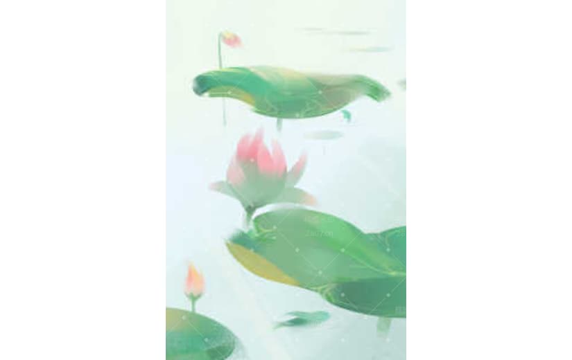 大气简约中国24节气夏至手绘背景
