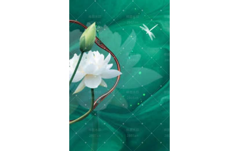 绿色文艺小暑节气荷花背景