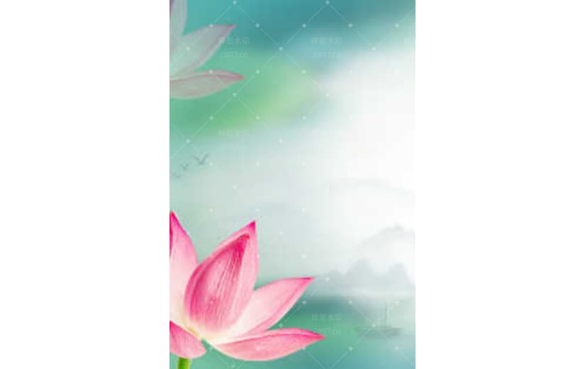 小暑节气文艺清新荷花背景