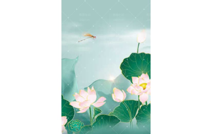 文艺清新荷花绿色小暑夏天背景