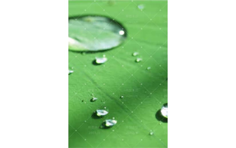 传统节气小暑背景