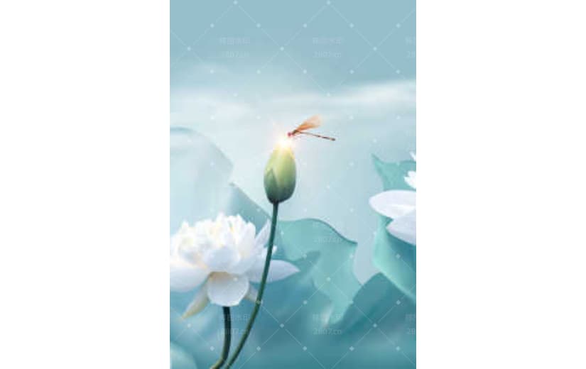 中国风小暑大暑夏季文艺节气背景