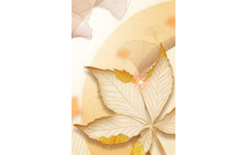 枫叶轮廓立秋节气宣传背景