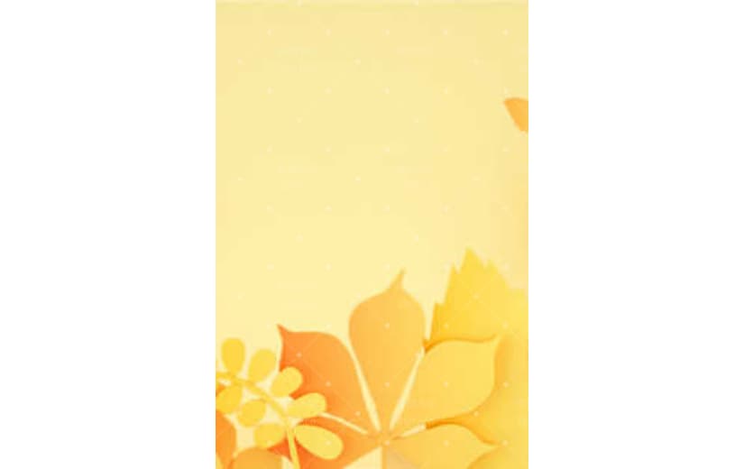 简约中国风24节气立秋背景