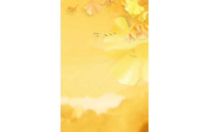 秋分文艺银杏叶秋天宣传背景