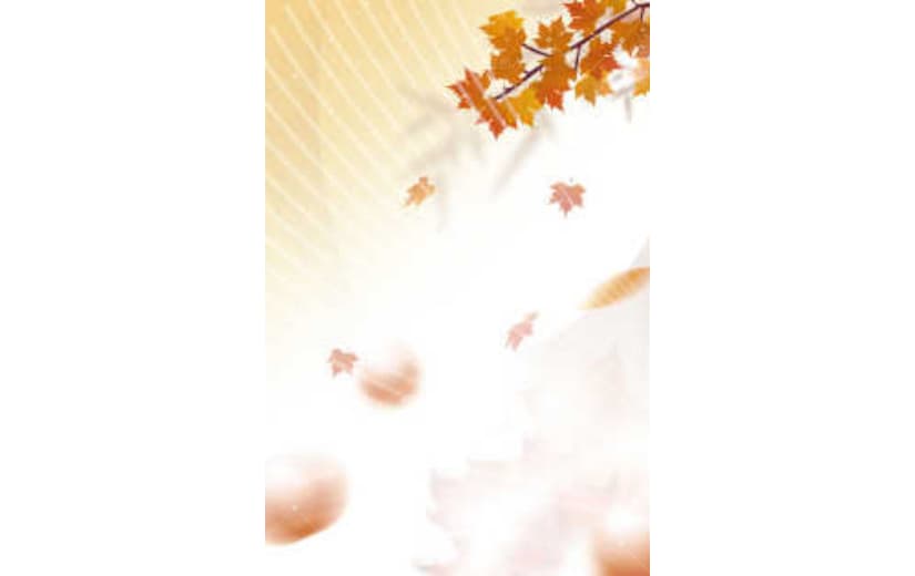秋分节气秋天丰收背景文艺