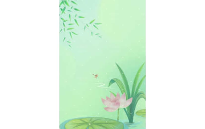 绿色夏天节气处暑荷花背景