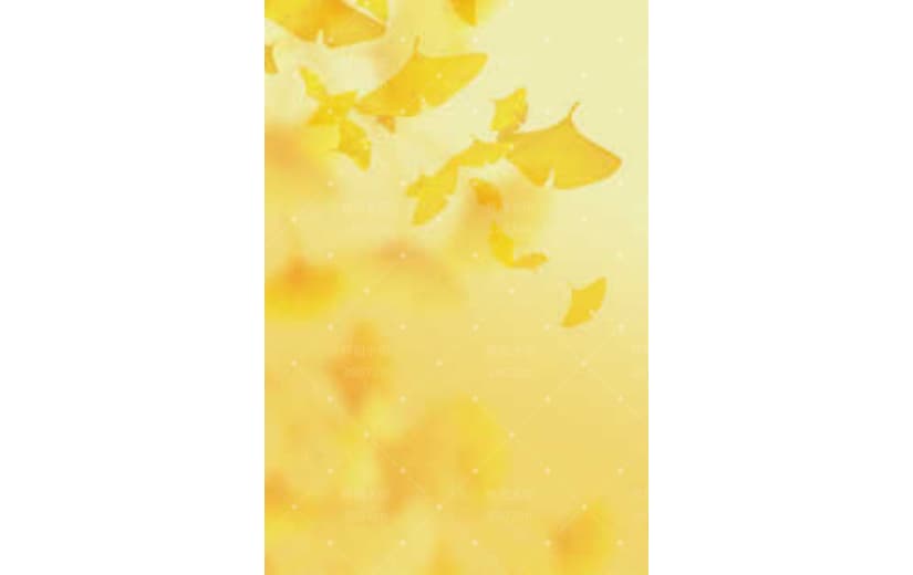 黄色立秋落叶文艺风背景