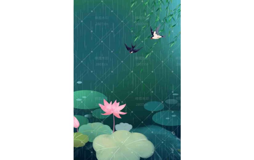 荷花池塘雨水节气宣传背景