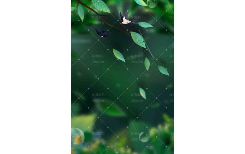 植物节气雨水春天春分立春燕子背景