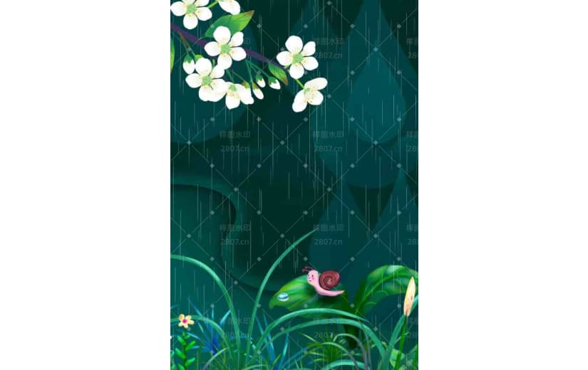 白色梨花植物场景雨水节气背景