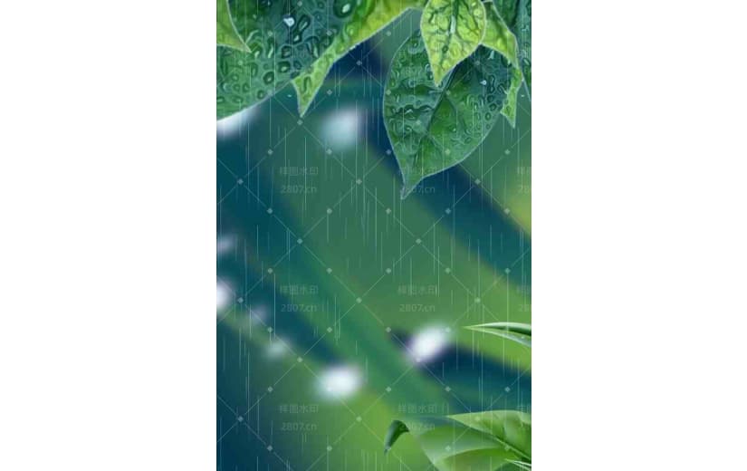 绿色植物雨水节气春天宣传背景