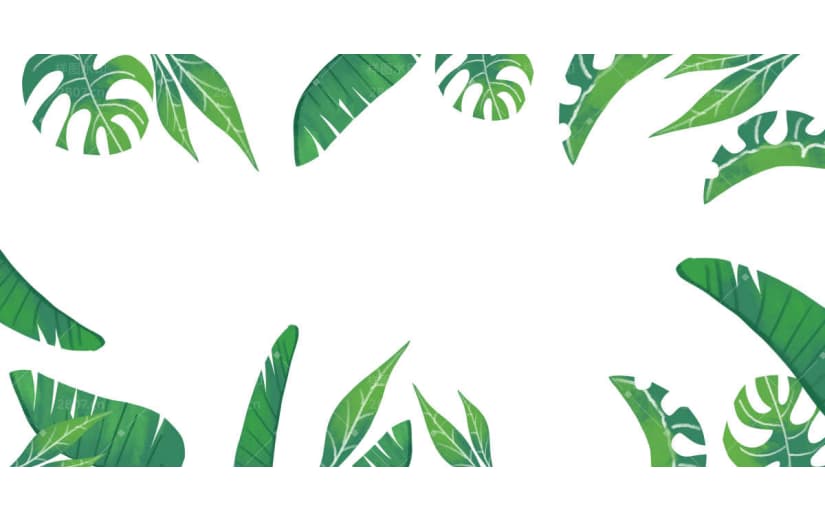 绿植龟背叶树叶背景