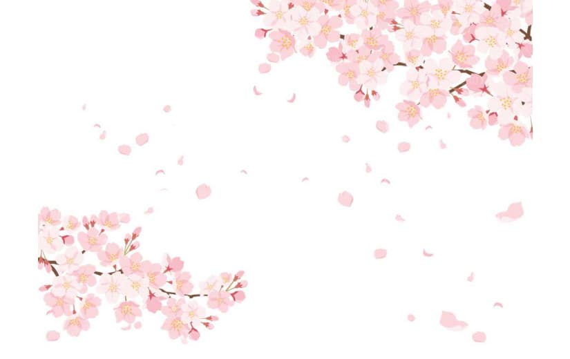 樱花盛开氛围背景