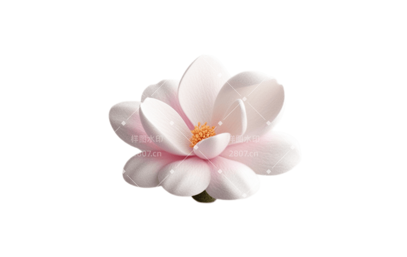 3D风格白色毛绒小花宣传3D元素