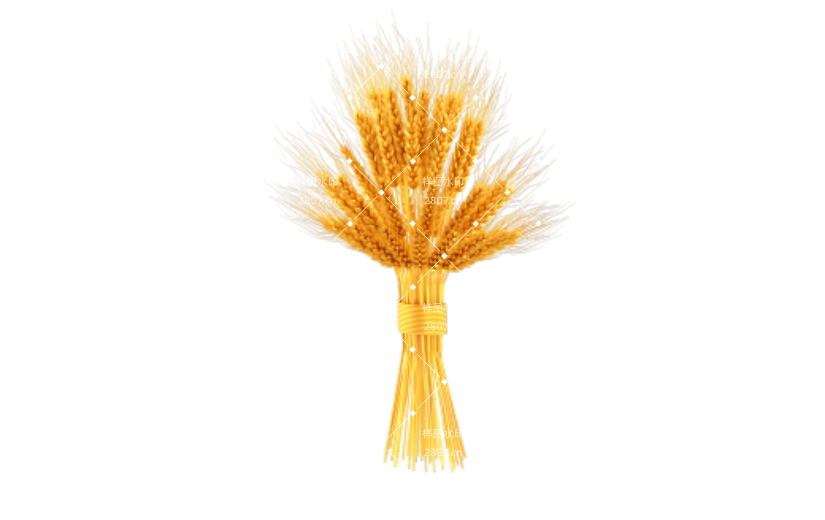 3D农业麦子元素建模渲染