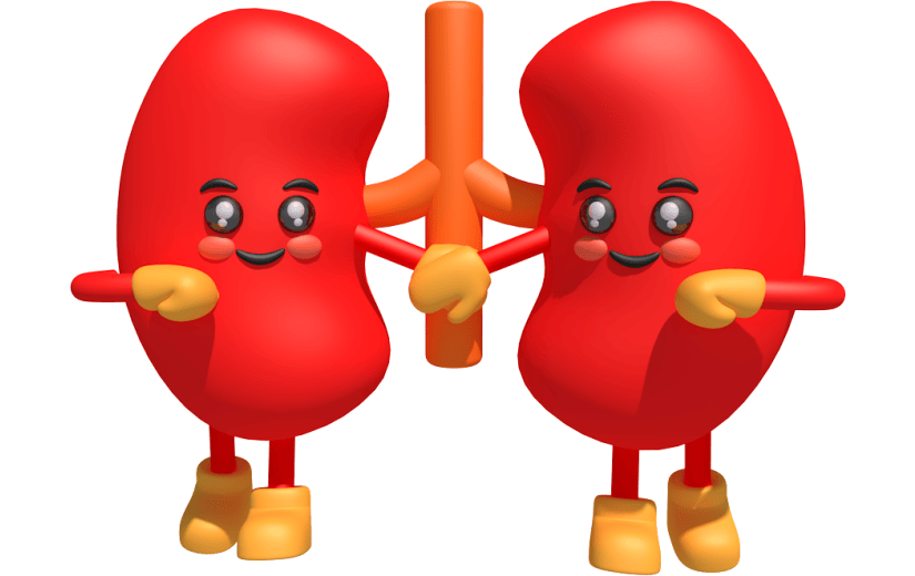 元素卡通3D拟态肾脏