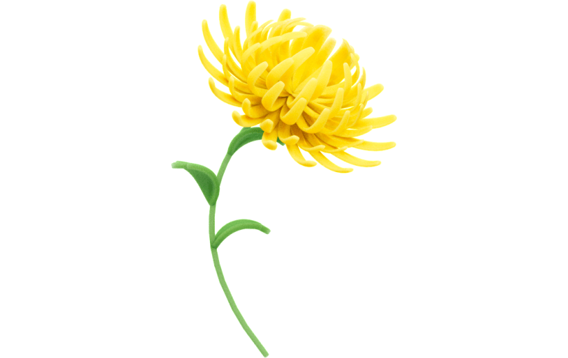 3D元素重阳节菊花