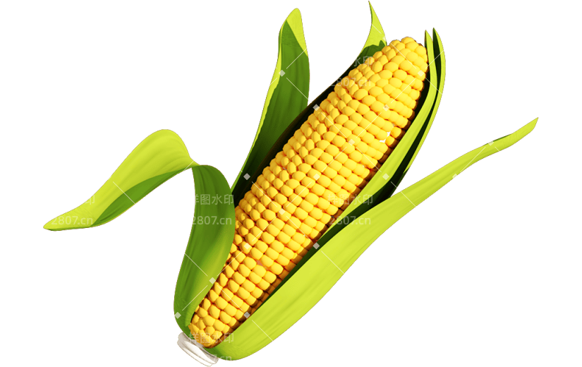 元素3D立体农作物玉米