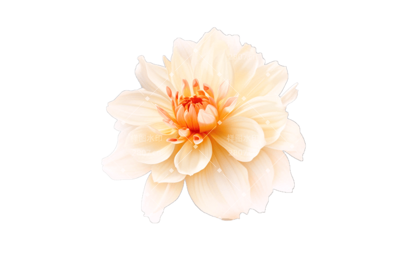 3D风格小清新白色花朵宣传3D素材