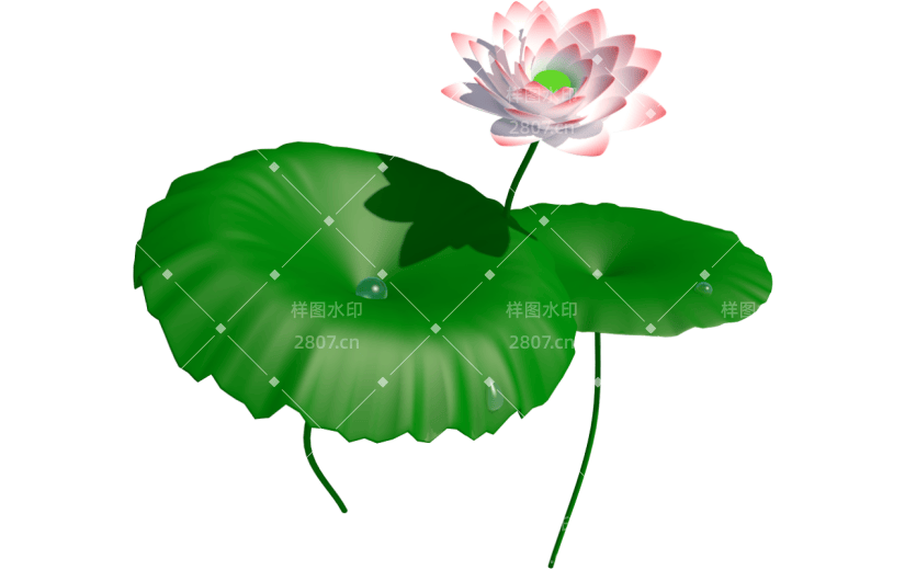 元素卡通3D荷花