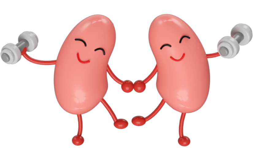 元素3D三伏天养生肾