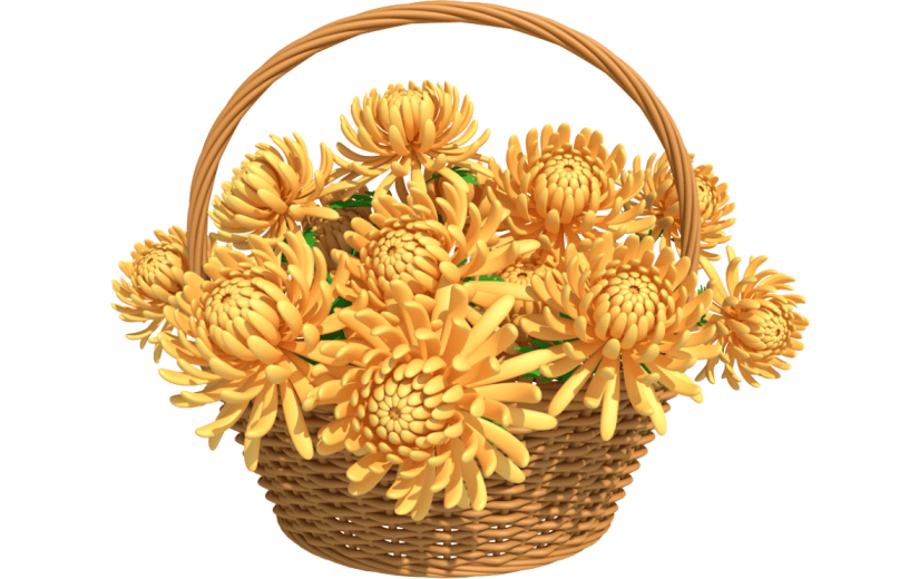 元素卡通3D重阳节菊花篮