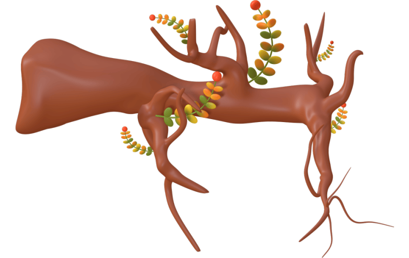秋季3D枯木