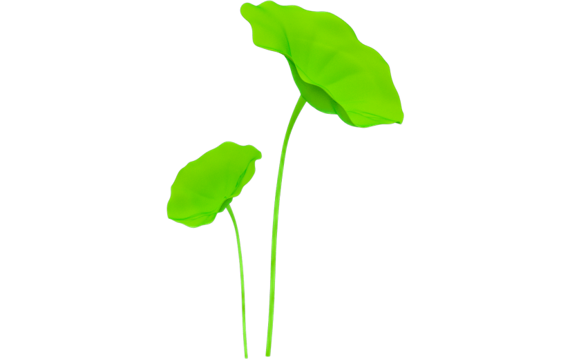元素3D电商装饰物卡通荷叶