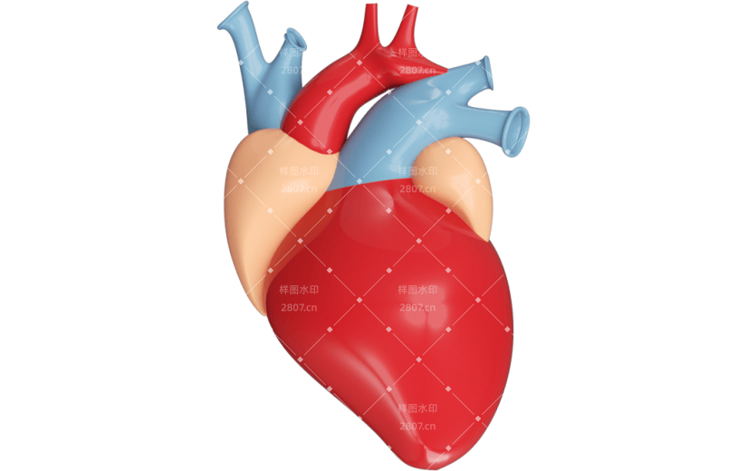 元素3D三伏天养生心脏
