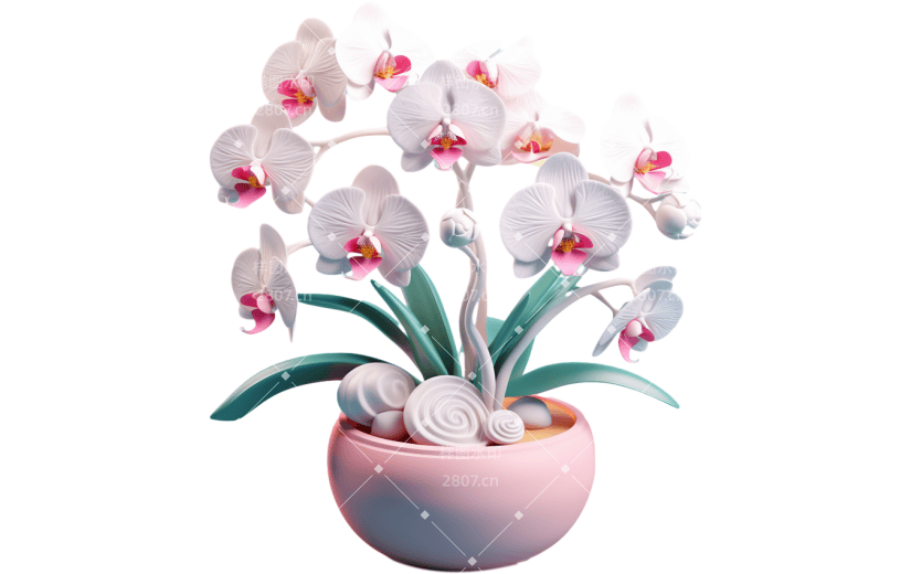 元素3D立体兰花蝴蝶兰元素