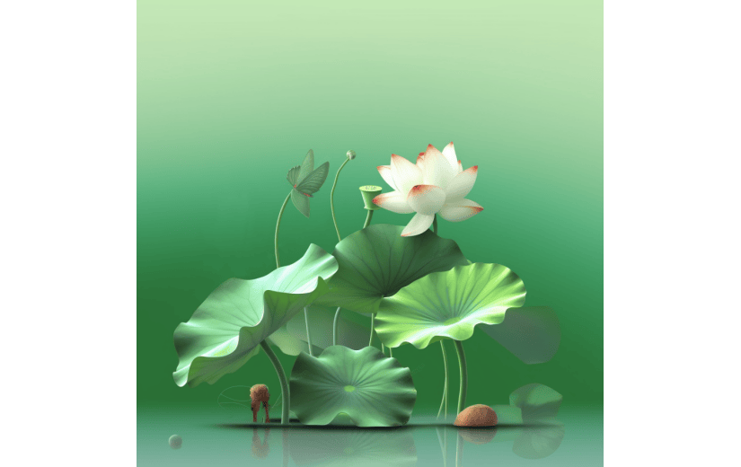 3D风格荷花荷叶宣传3D素材