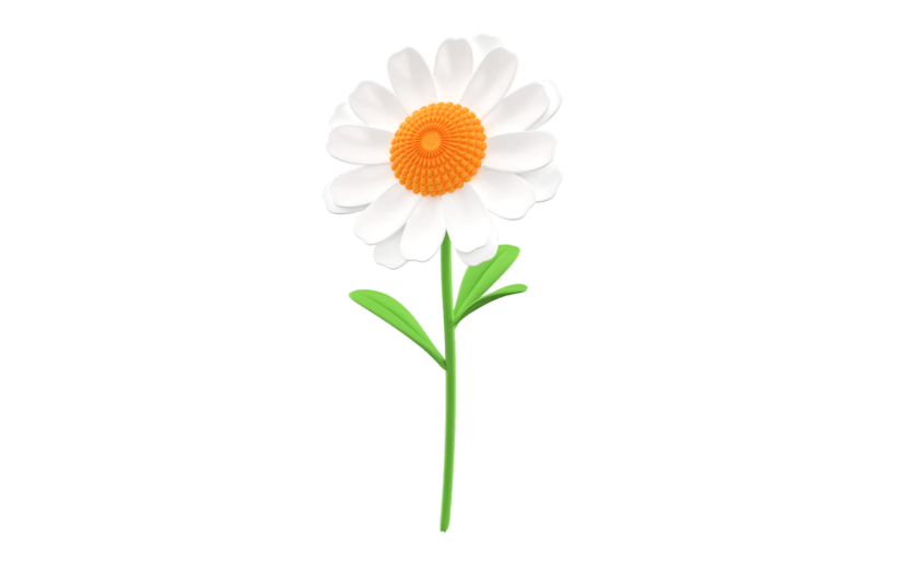 元素3D立体秋天小白菊