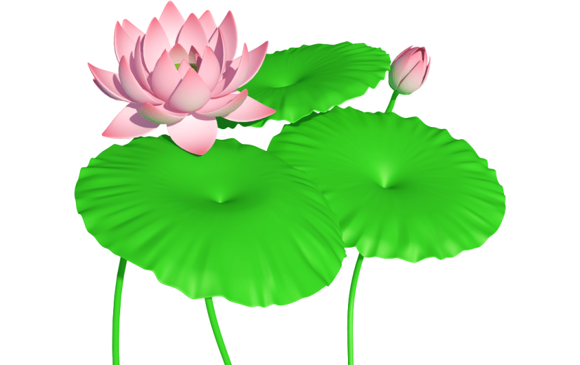 元素卡通3D荷叶