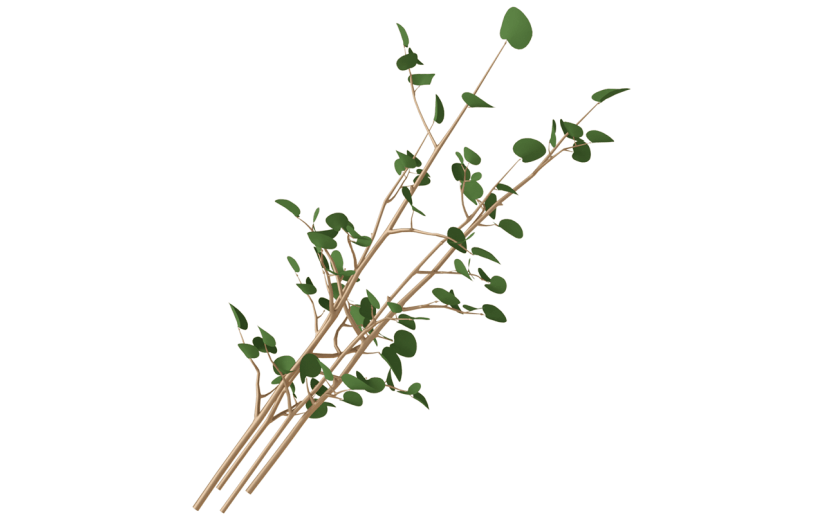 元素C4D立体绿色简约树枝植物