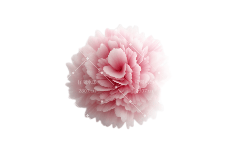 3D风格粉色毛绒牡丹花宣传3D元素