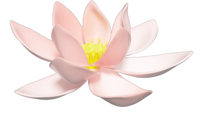 元素3D电商装饰物卡通荷花